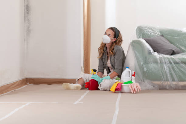 Reliable Mold Remediation contractor in Farmington, MN by 24 Hour Mold Removal